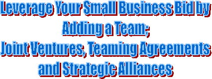 Leverage Your Small Business Bid by
Adding a Team;
Joint Ventures, Teaming Agreements
and Strategic Alliances