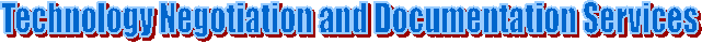 Technology Negotiation and Documentation Services